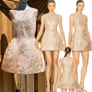 🆕 BRONX & BANCO 🧿 NWOT Violet Mini Dress, Gold & Champagne Sequin - Sz XL US10